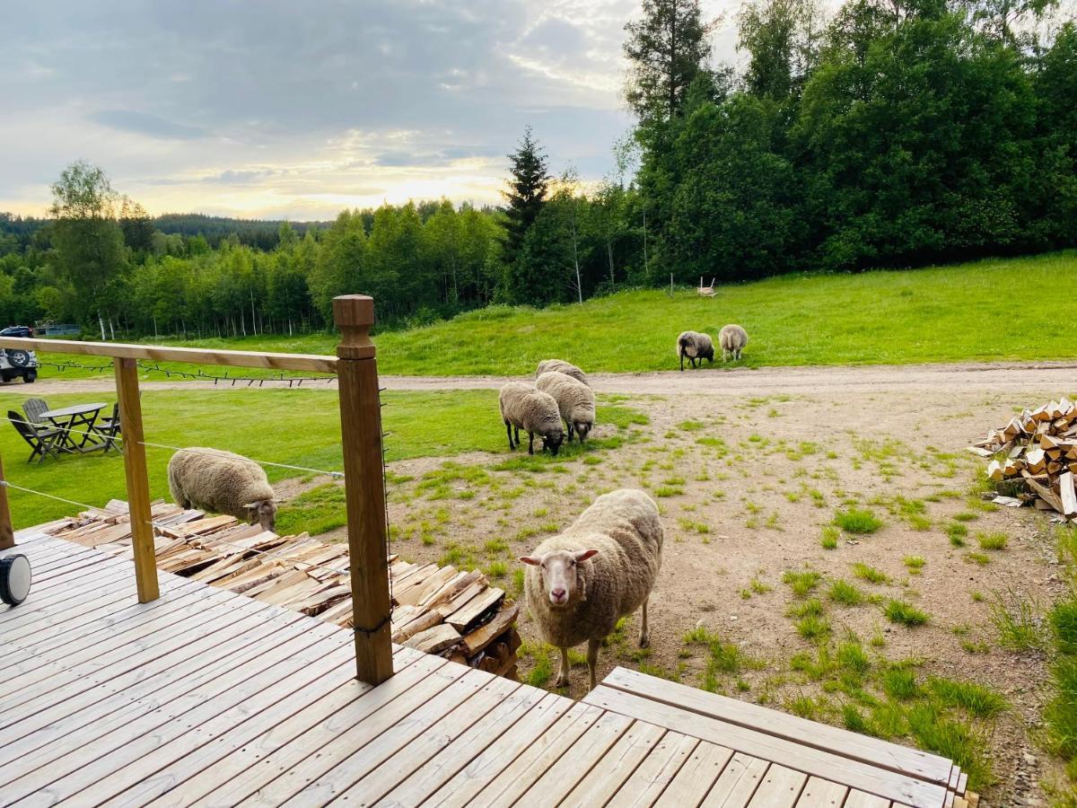 Adventure Guesthouse Sweden In Rural Area スンネ エクステリア 写真