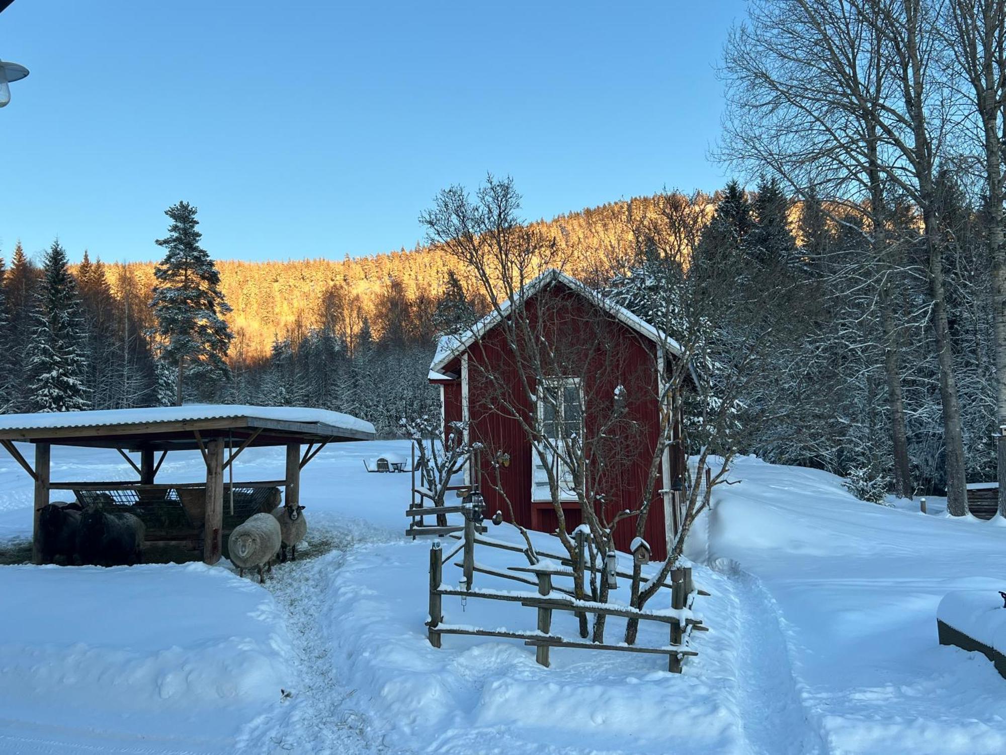 Adventure Guesthouse Sweden In Rural Area スンネ エクステリア 写真